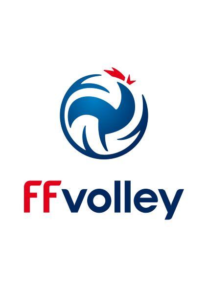 Logo federation francaise de volley 1